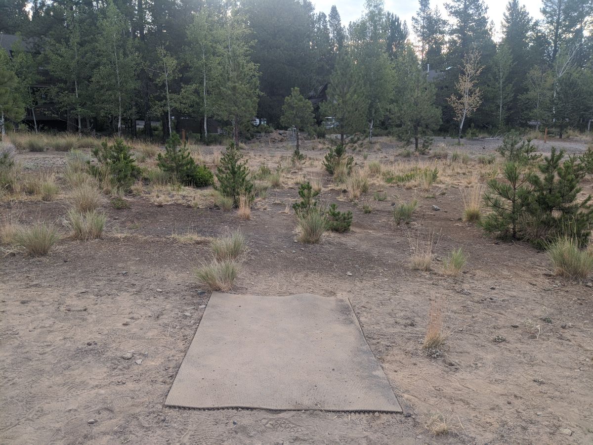 Hole #5