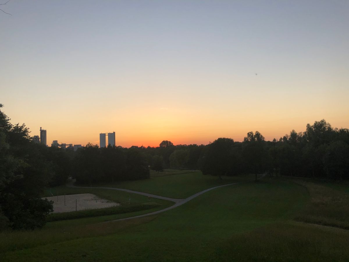 Phönix bei Nacht / Sonnenuntergang
