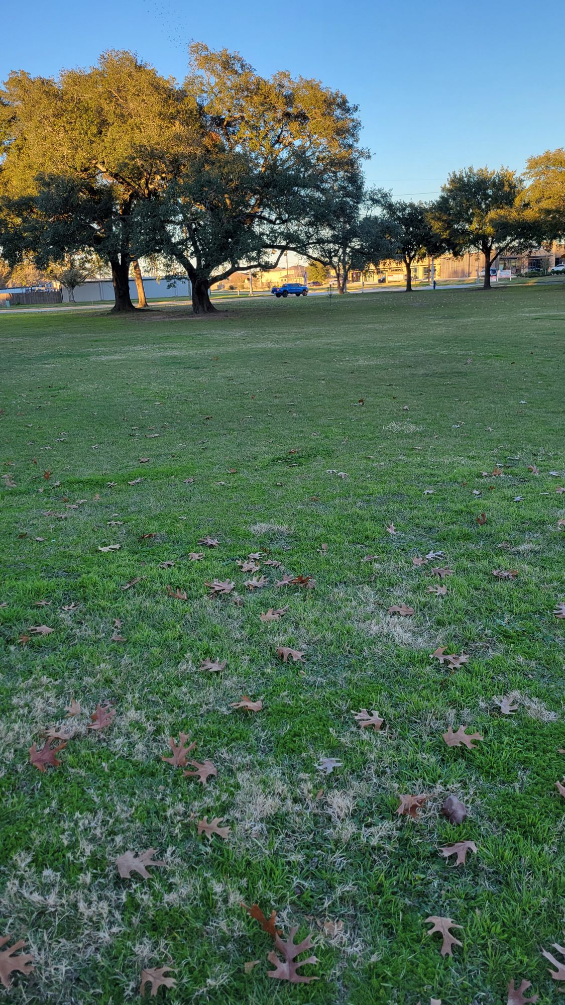 Hole 3