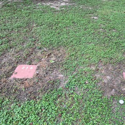 Throwing markers for fourth hole.