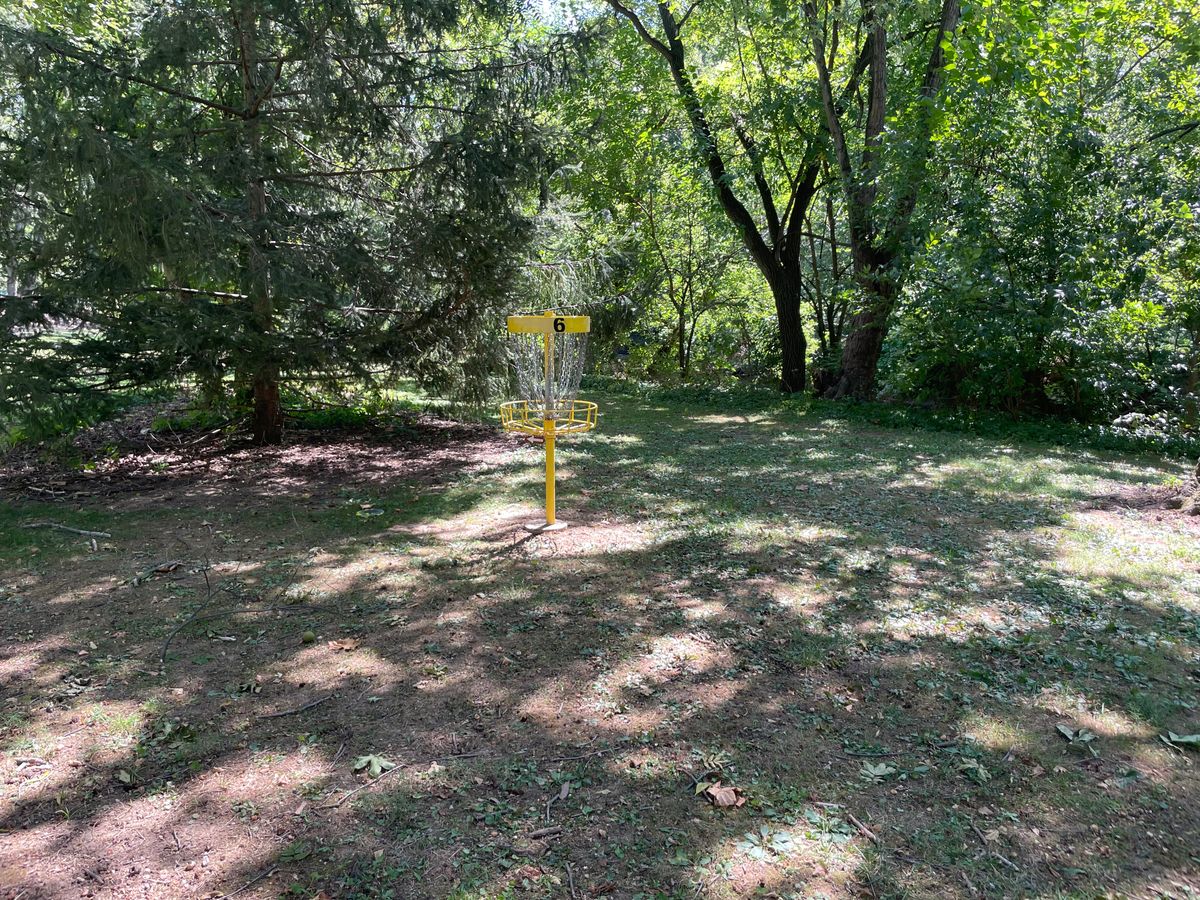 Hole 6 Basket
