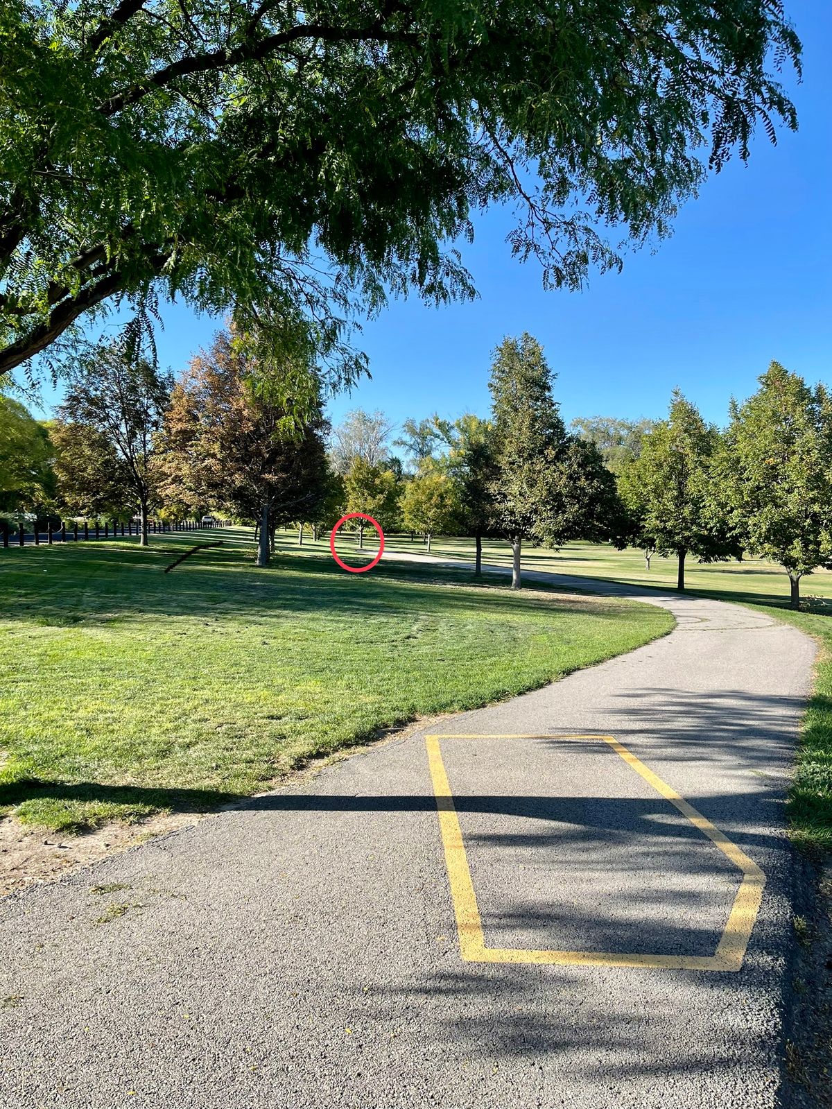 Hole 8 Short Basket