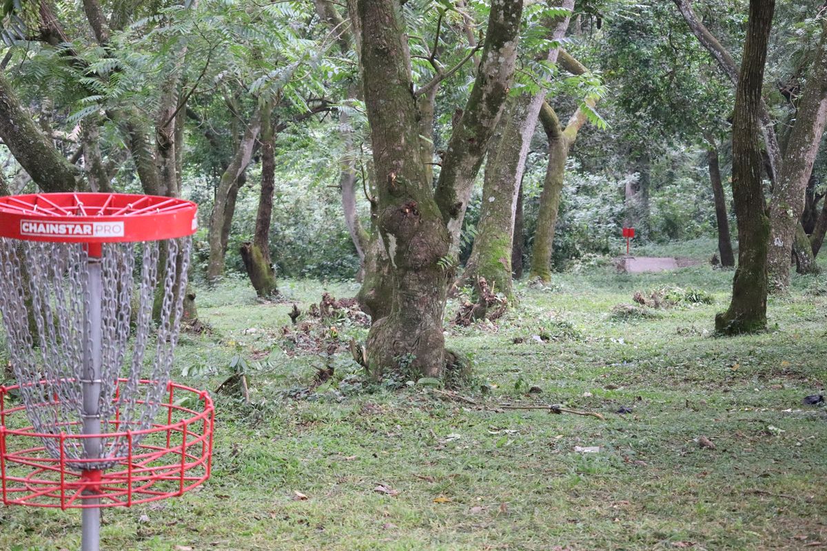 Hole 14 Basket