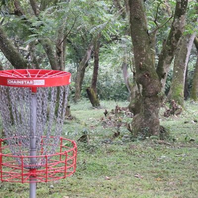 Hole 14 Basket