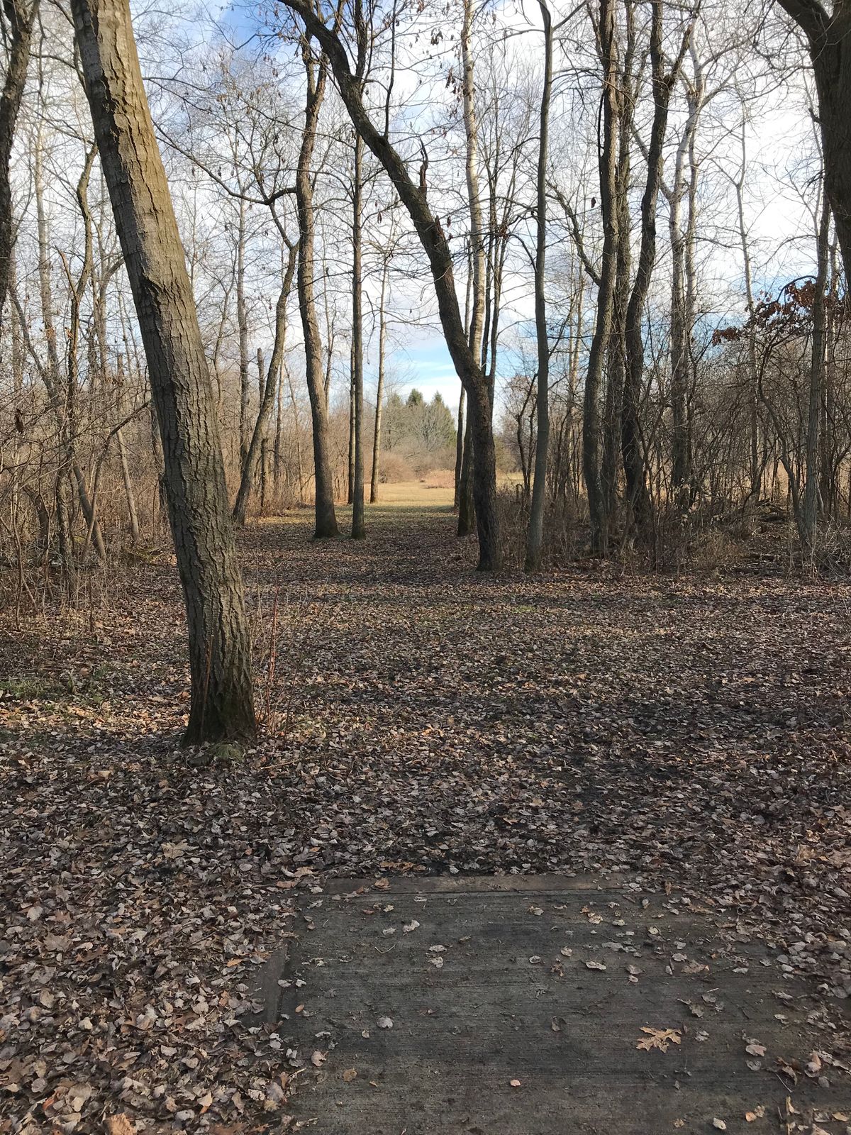 Teepad of Hole #5/#14