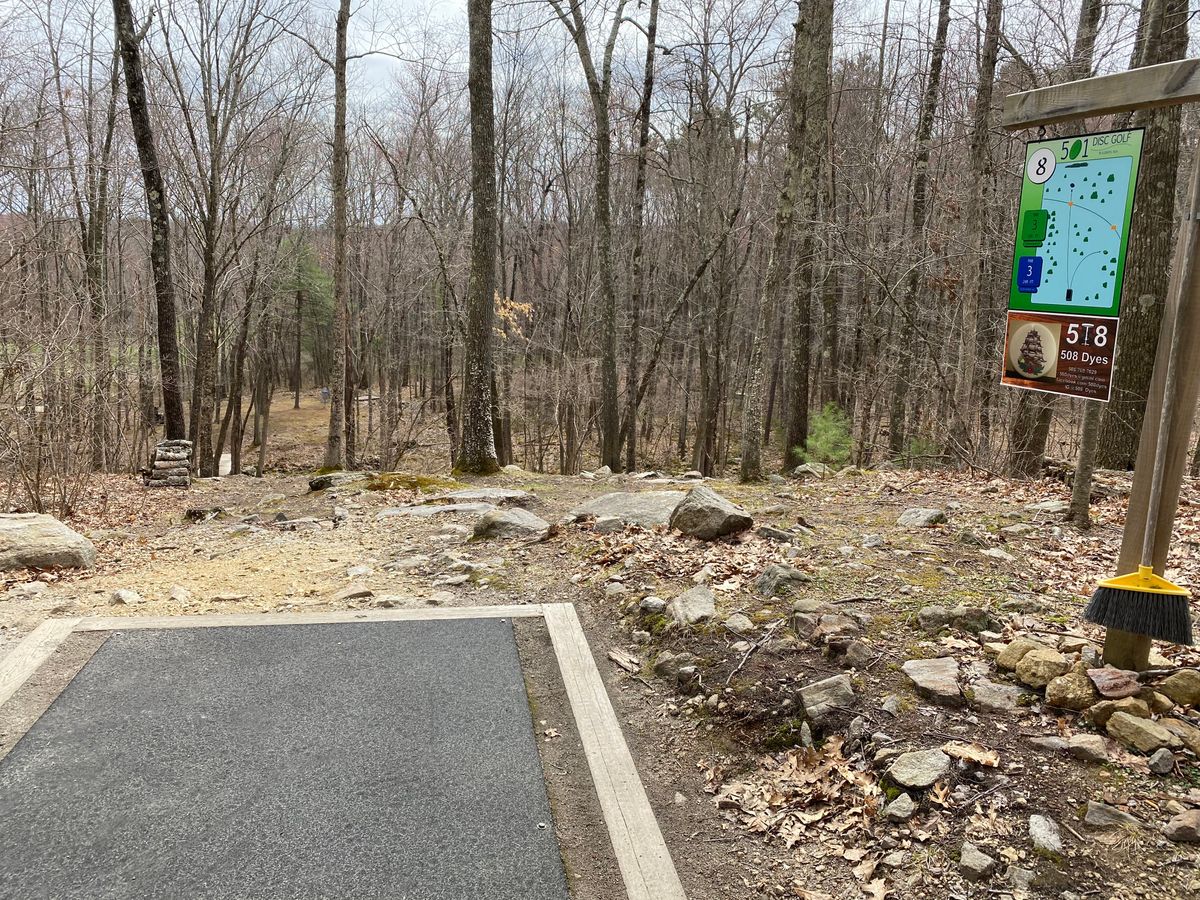 Hole 8 Tee