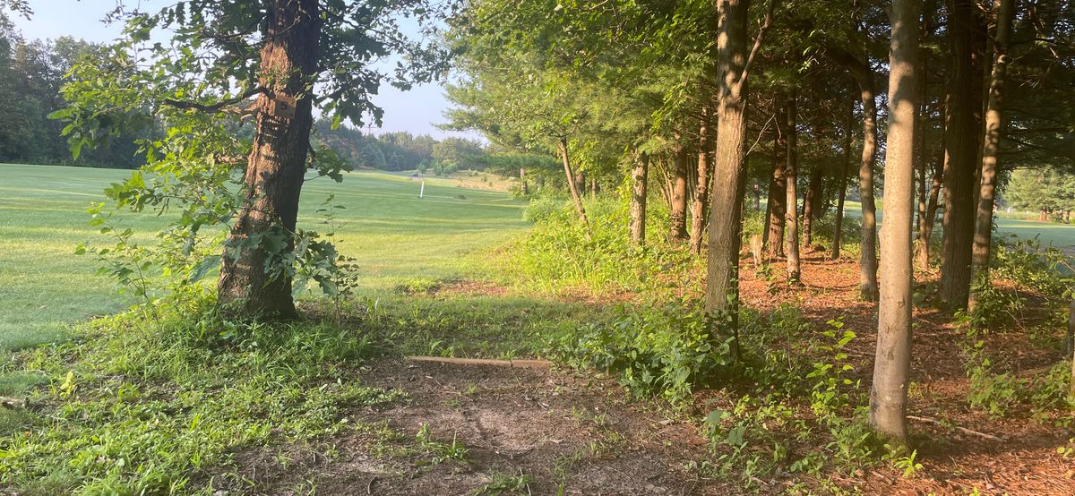 Tee 5