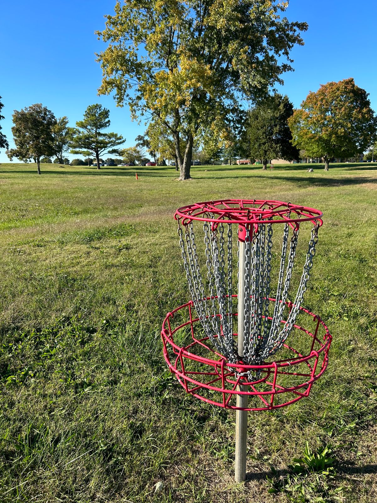 Hole #2 from the basket.