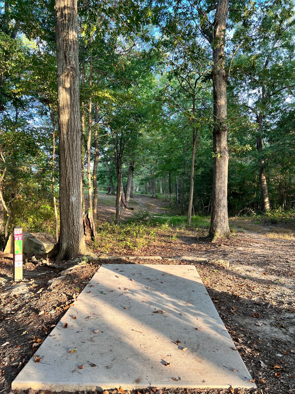 Hole 11 red tee