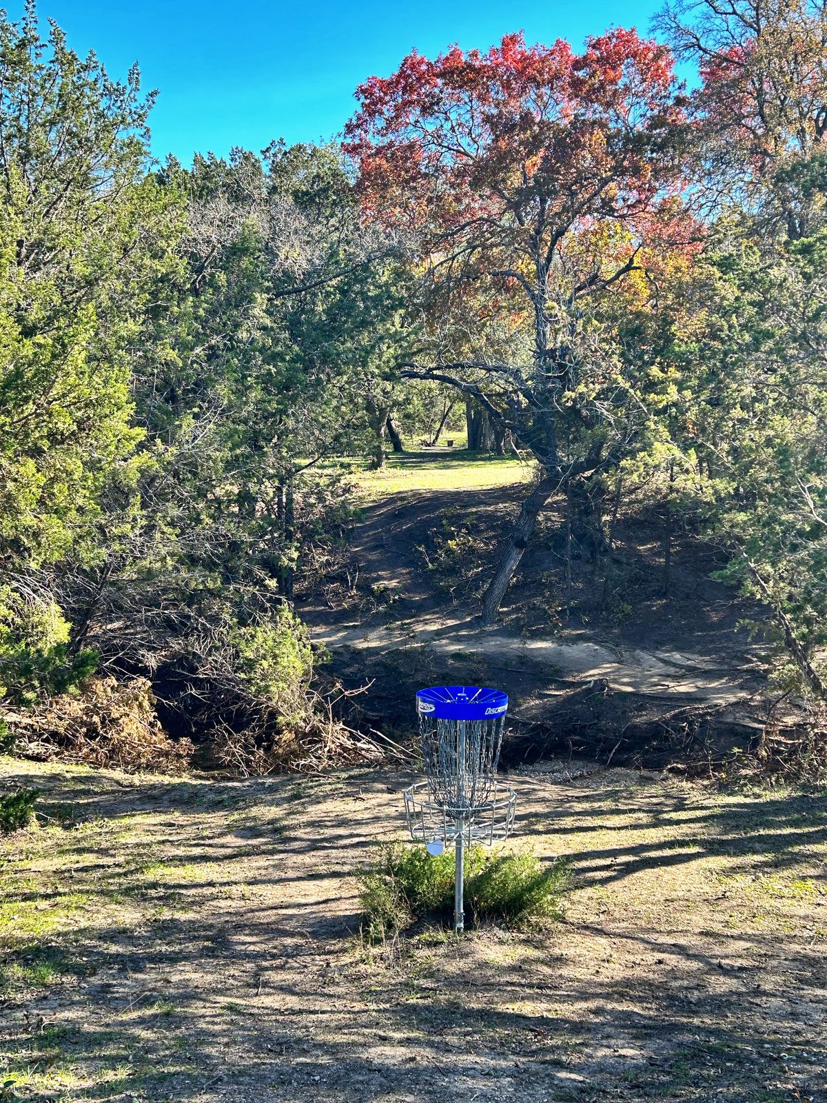 Hole #17 Bastet to pad