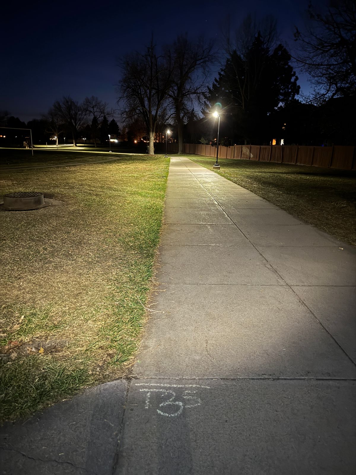 Zoomed out pic of hole 3 and its tee signage for the shorts: T3S. Basket is behind tree.