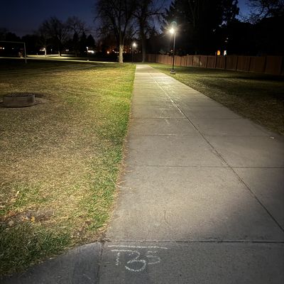 Zoomed out pic of hole 3 and its tee signage for the shorts: T3S. Basket is behind tree.
