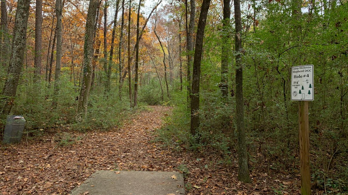 Hole 4