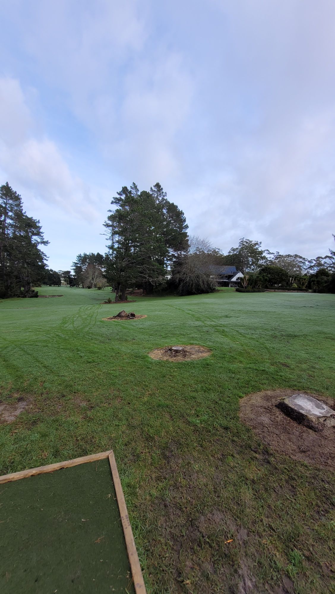 Hole 2 and 11. Mando tree