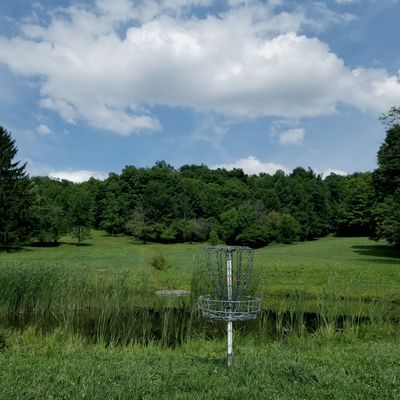 Hole 9 looking back at the fairway.