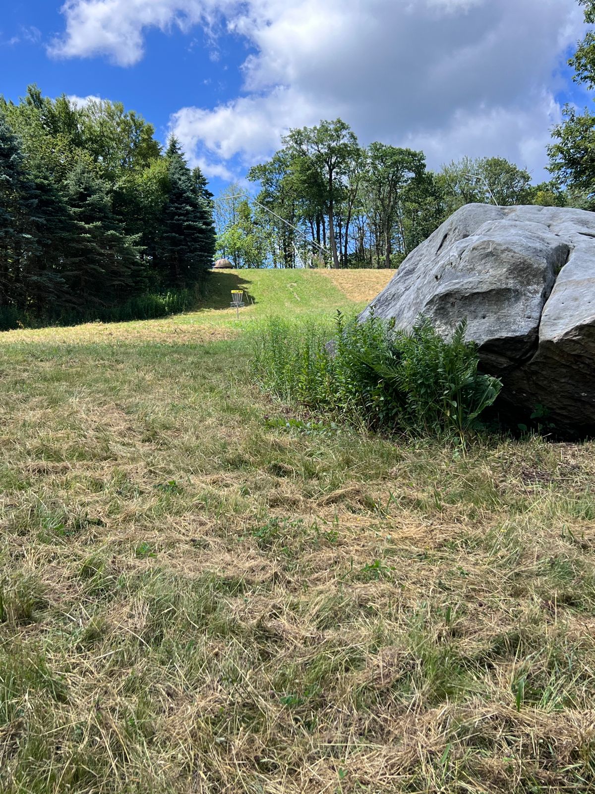 Basket of hole 5