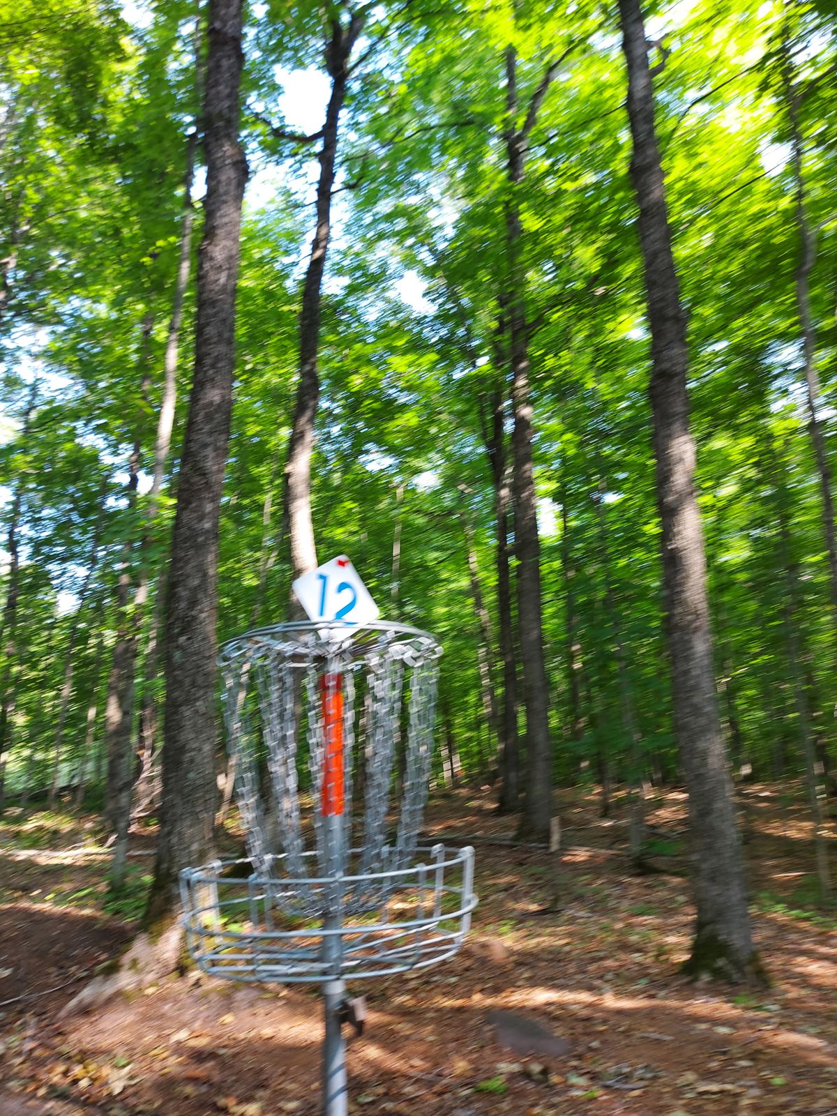 Putting on hole 12.🪵🍁🪵🍁
