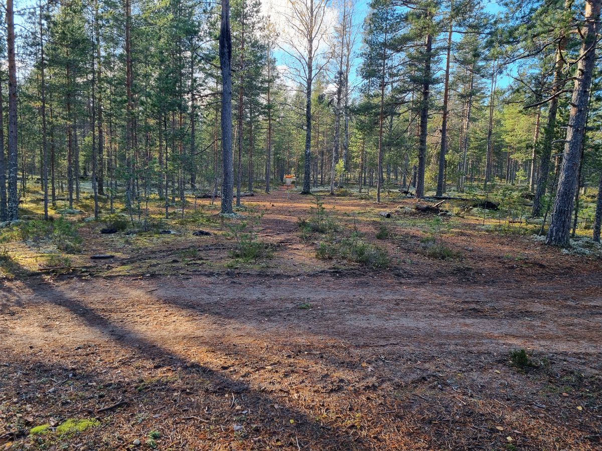 Korinäkymä