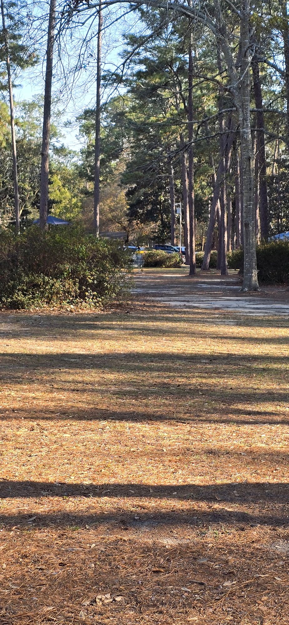 From hole 17 short pad