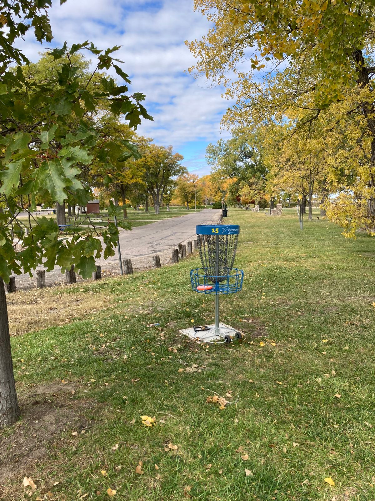 Portable basket 15