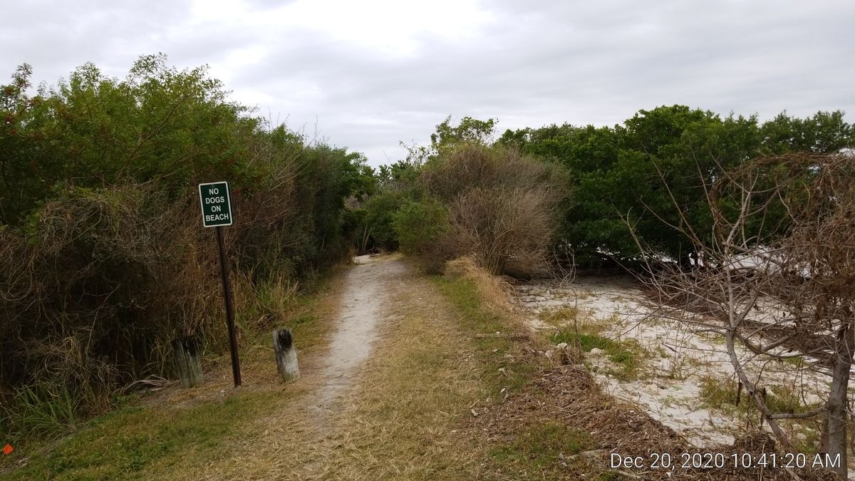 This path to 1