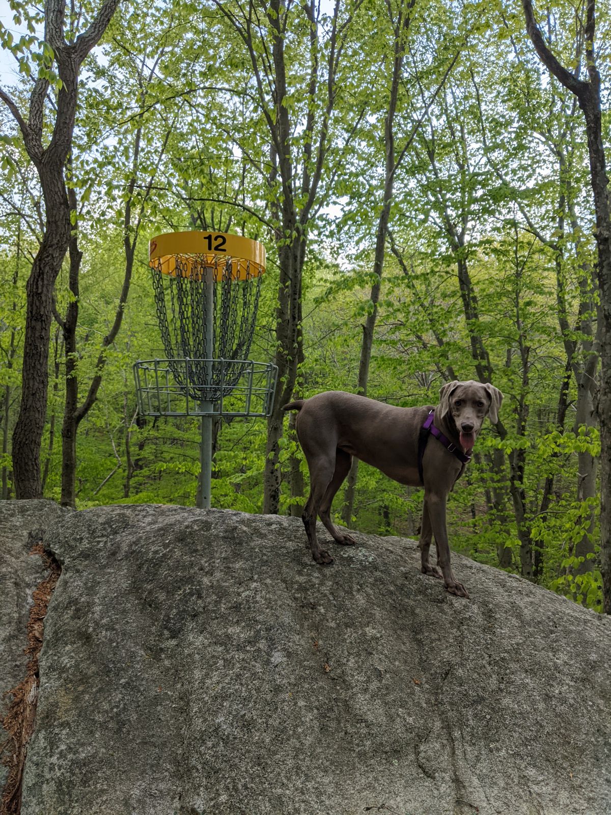 She's reminding me to play it short and not go for the ace run