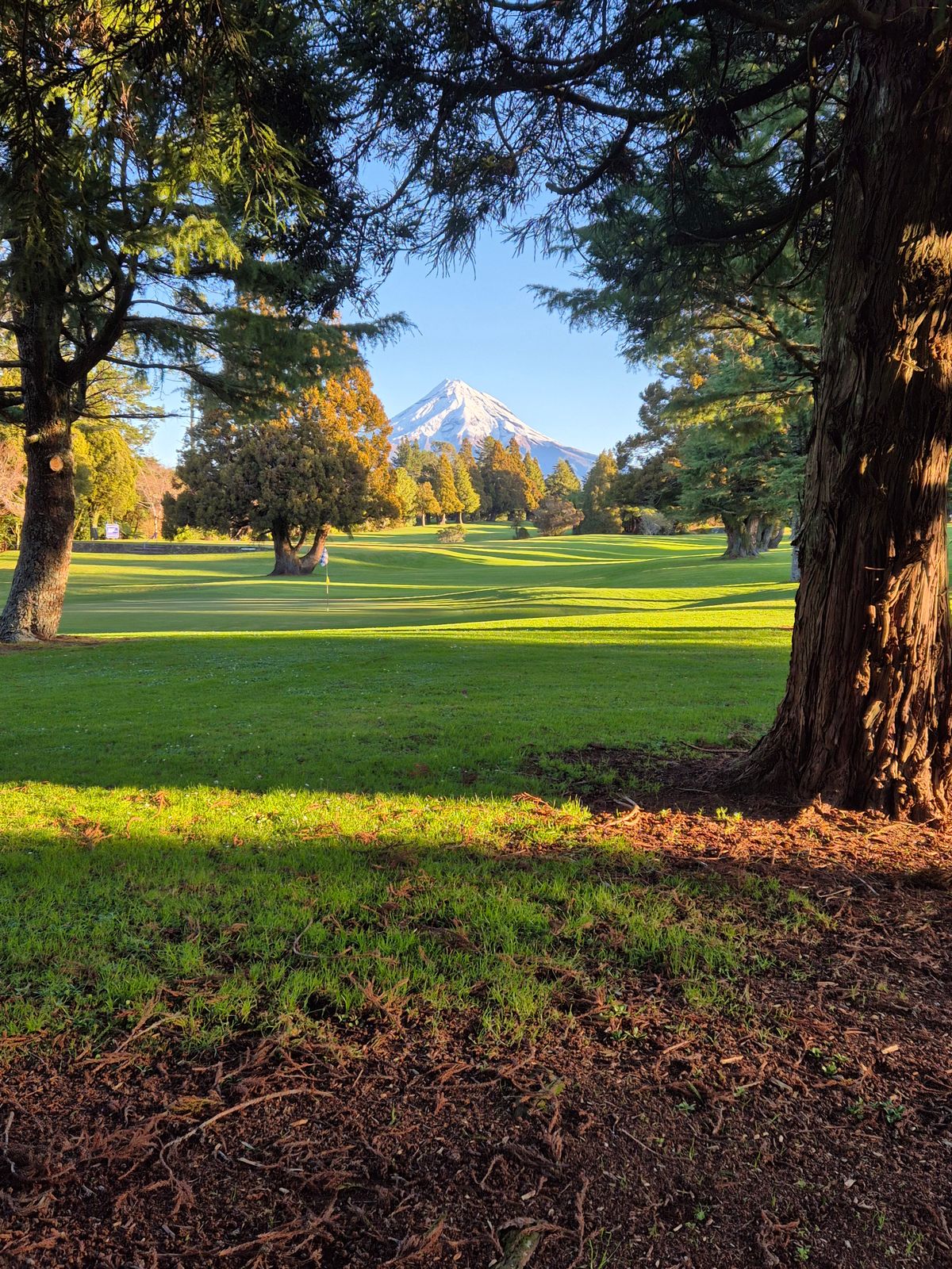Hole 11 blue tee