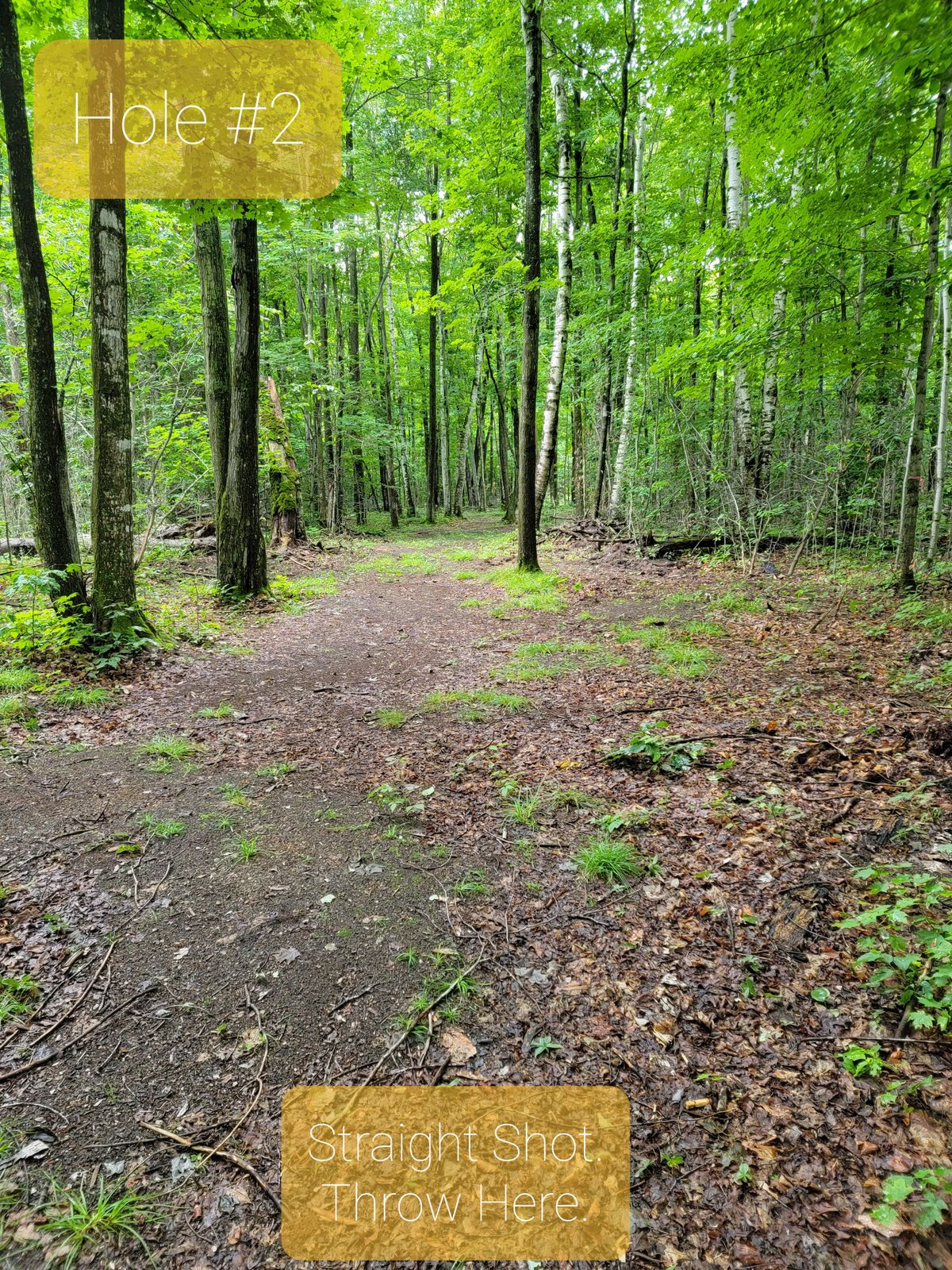 Hole 2 tee