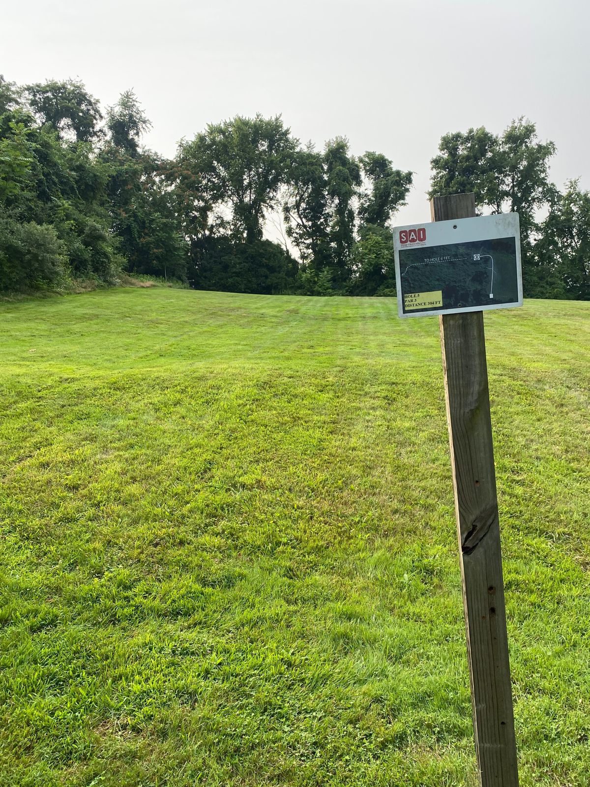 Hole 5 tee