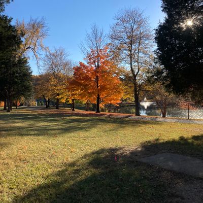Gorgeous View from Hole 4 Teepad