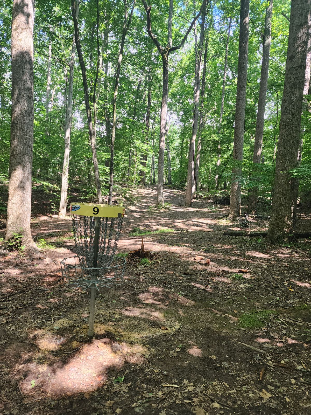 Hole 9 basket