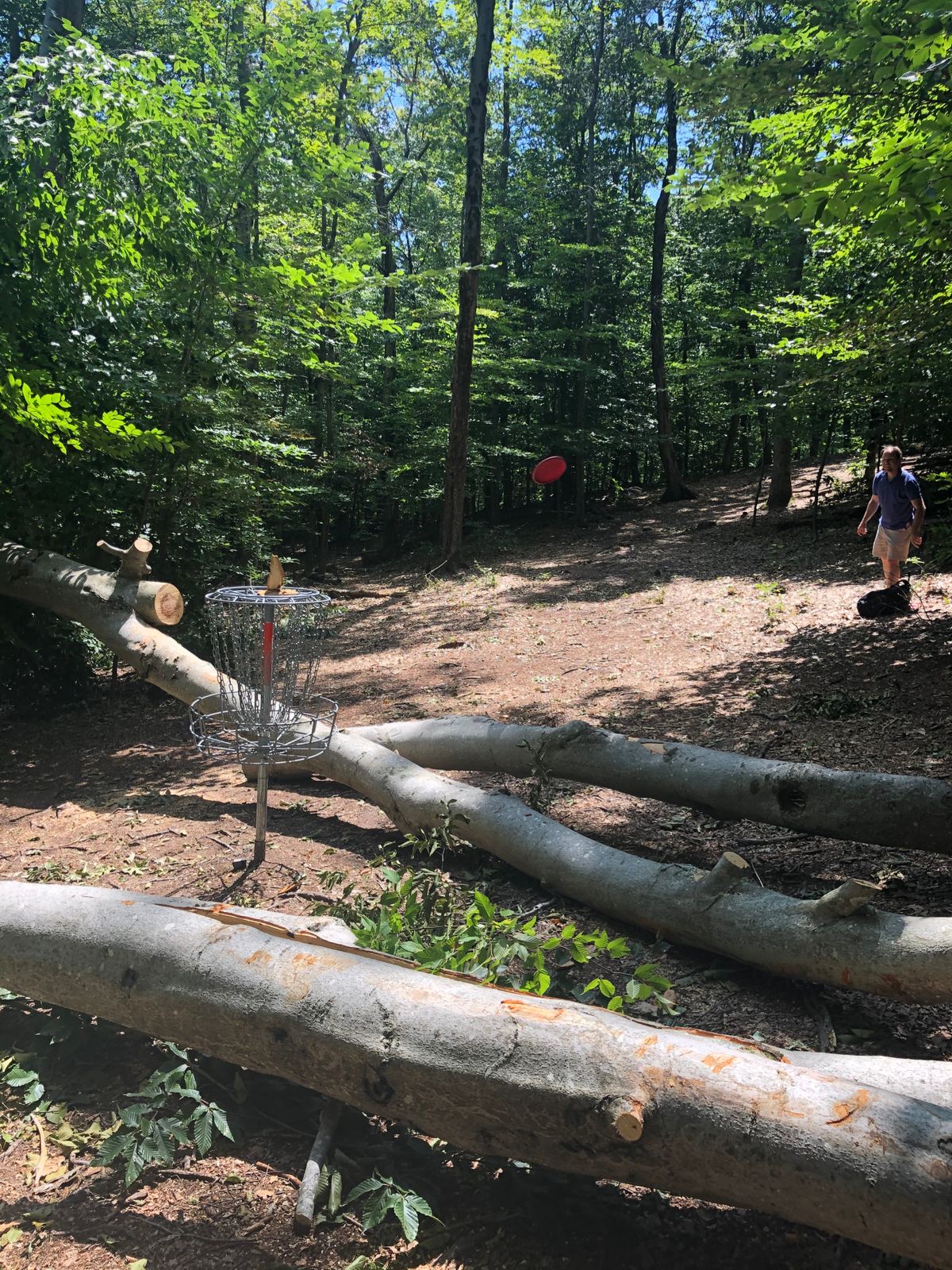 Hole 4