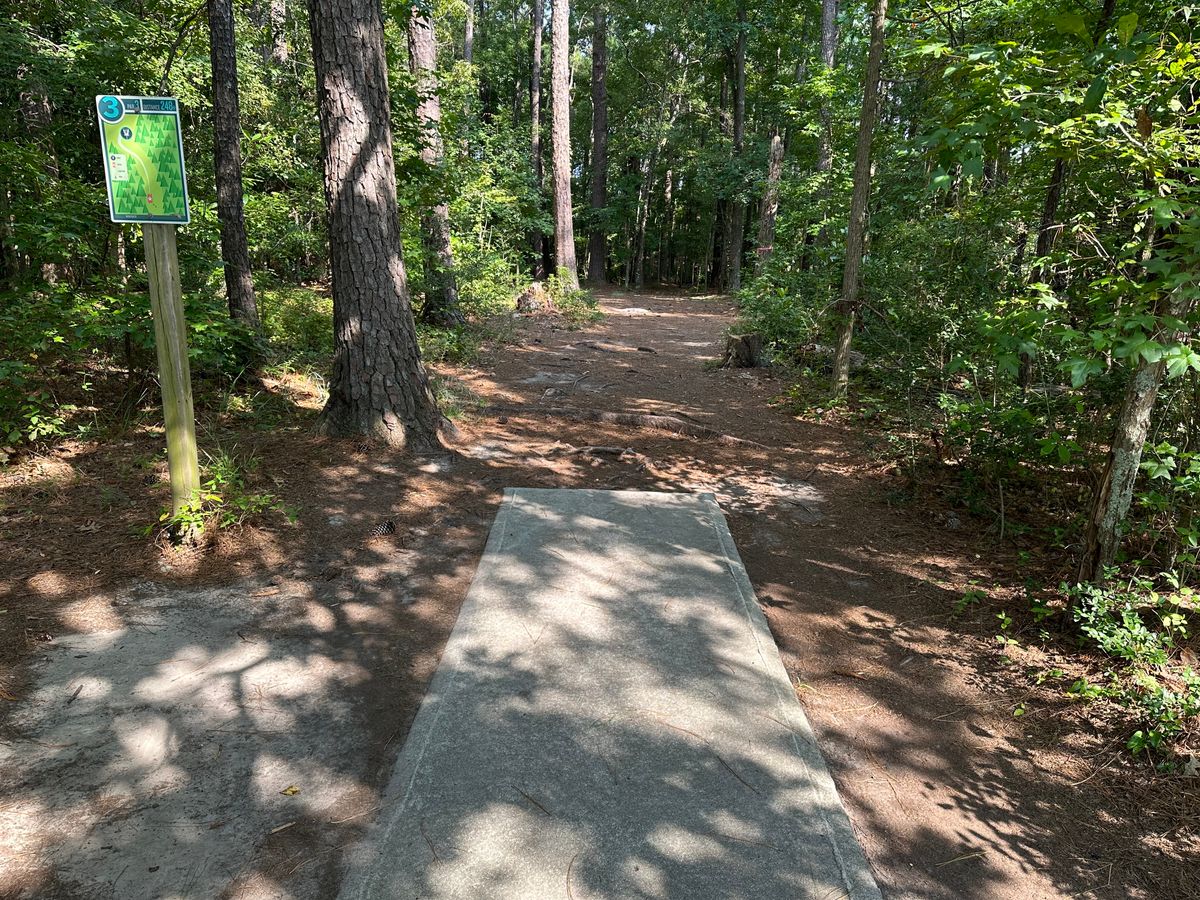 Hole 3 Tee
