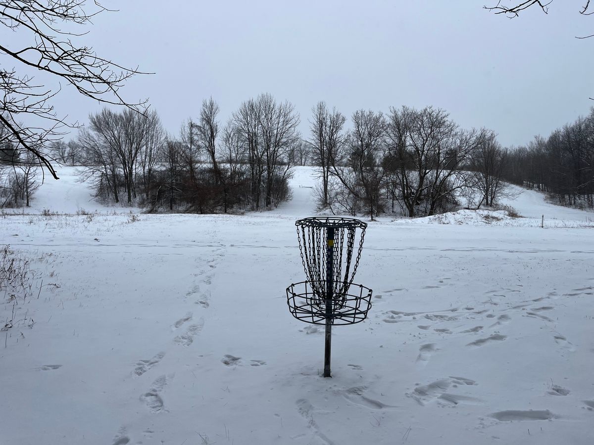 Hole 15 Basket - Pin B