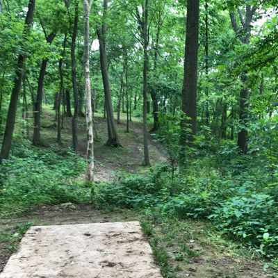 Hole 6