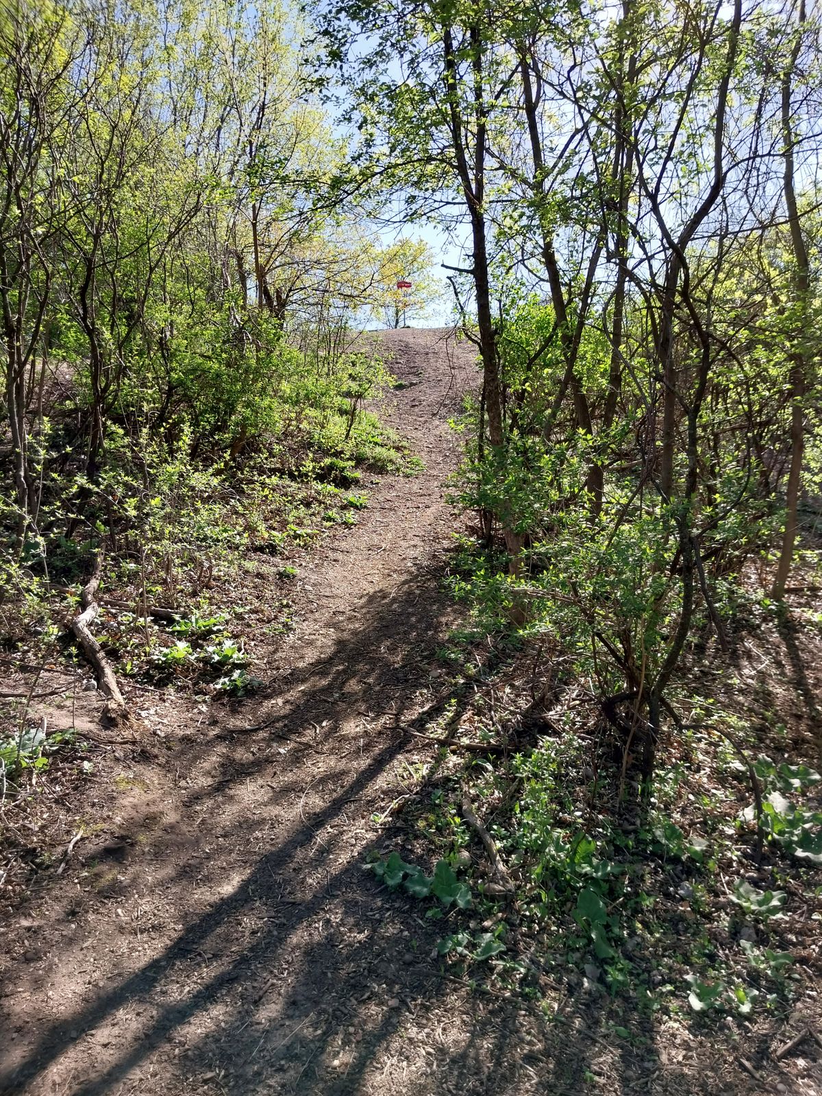 Approaching basket 4/14