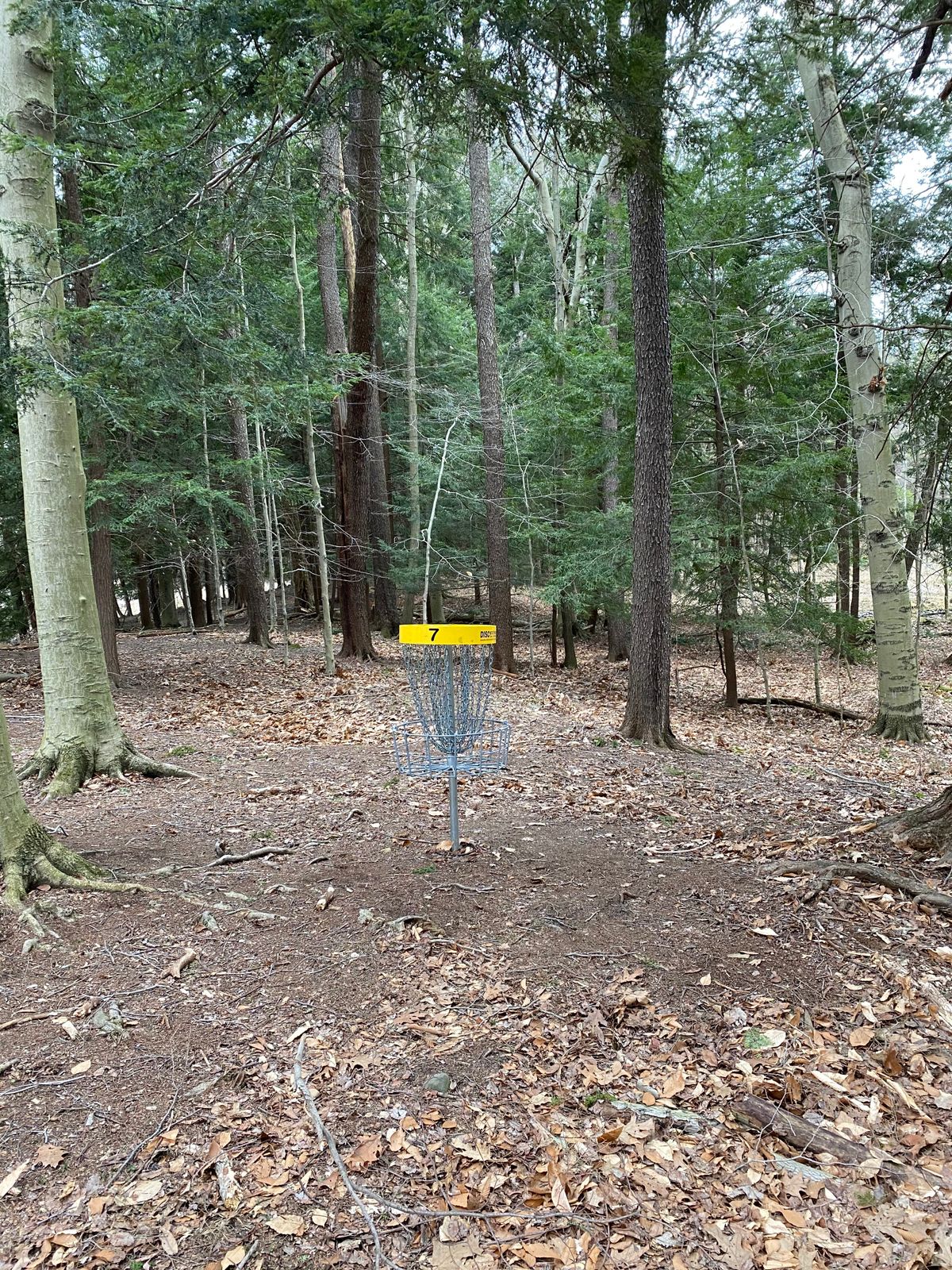 Hole 7 basket