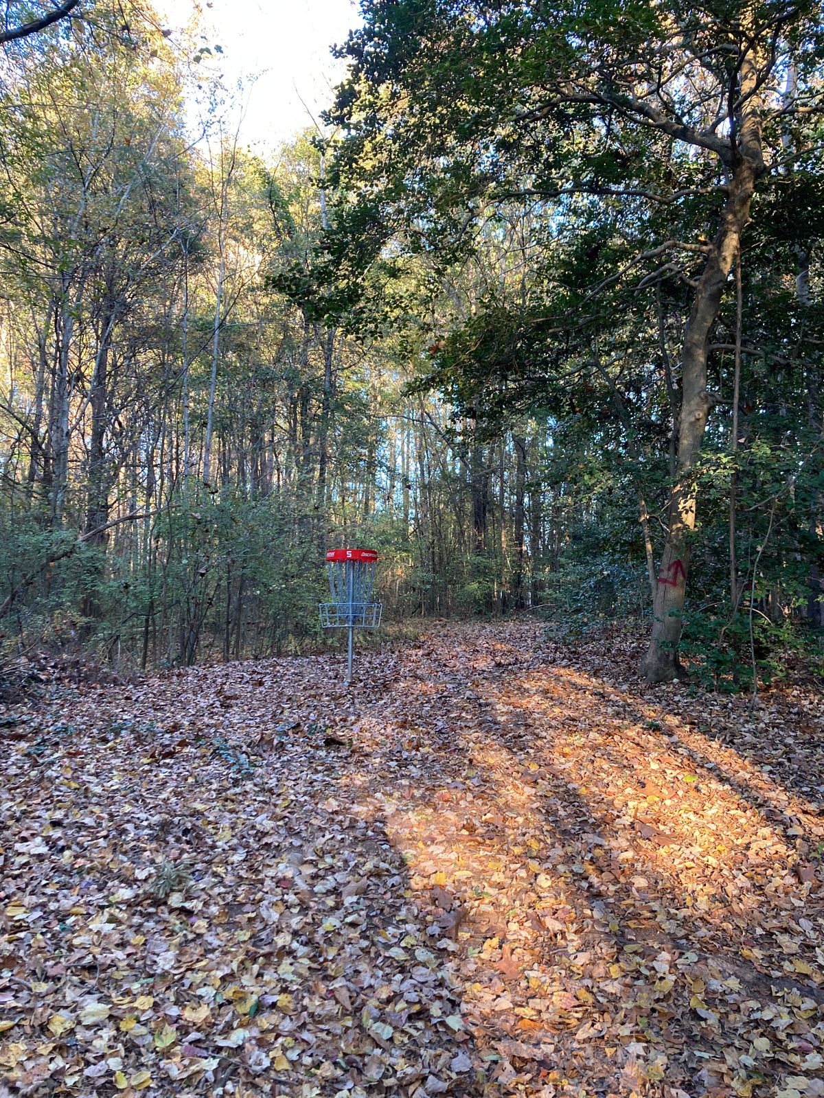 Hole 5.