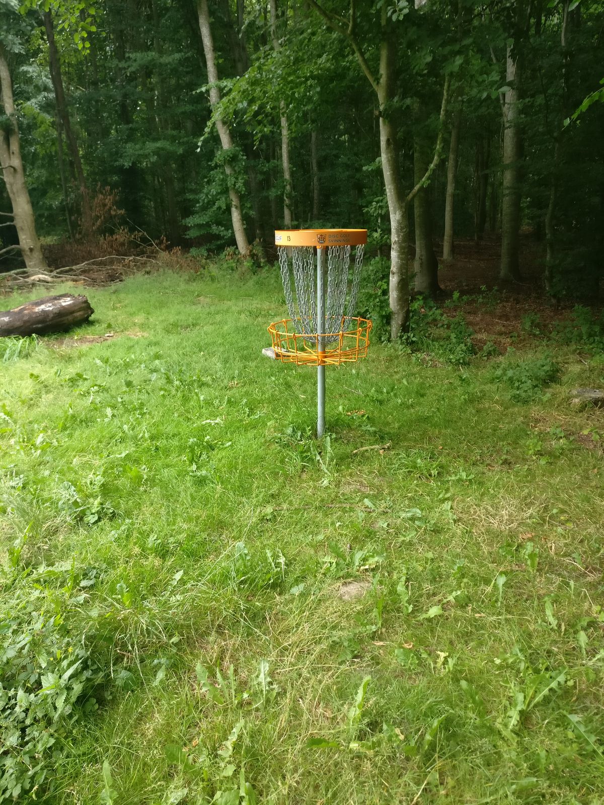 Hole 14