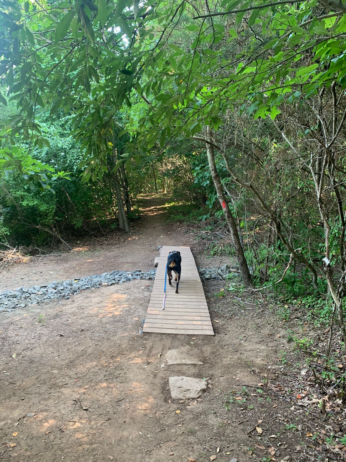 New bridge on the way to hole 1

Featuring Samoa