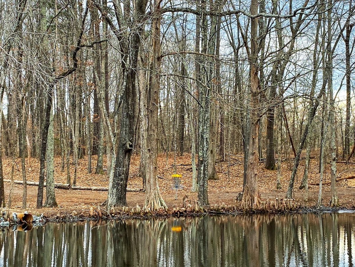 Looking back across the water to previous basket (not a water carry in play, though a death putt!)