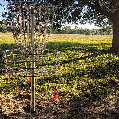 Basket at 18