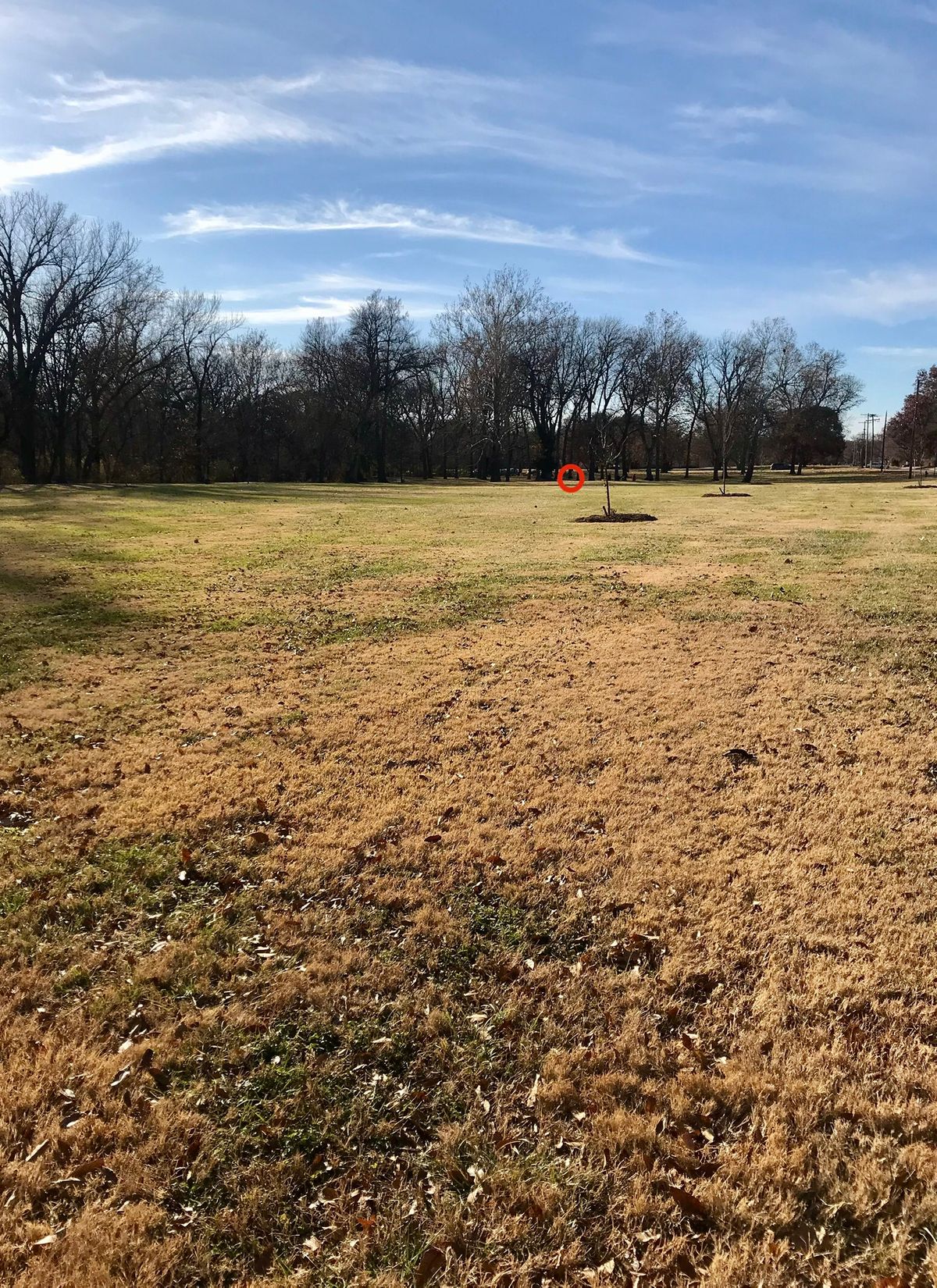 Hole 16 Tee