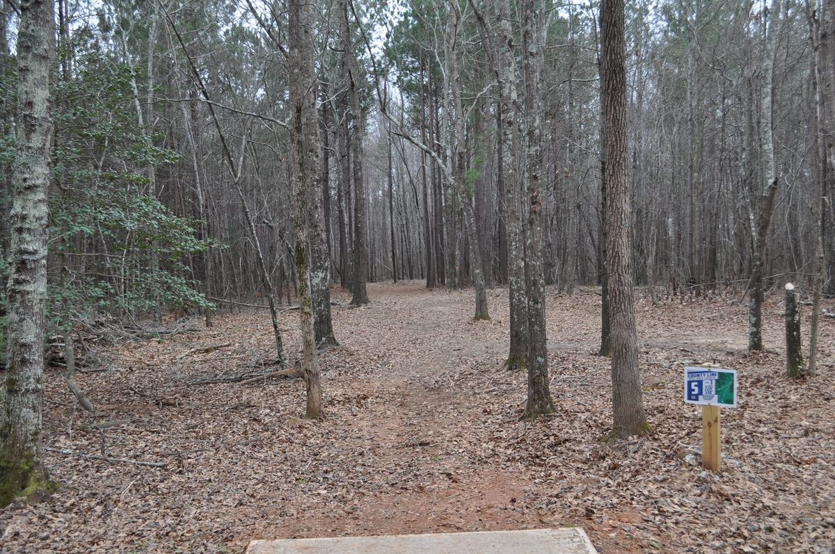 Hole 5 Short