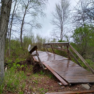 Damaged bridge 4/30/22. I walked over it and halfway through wish I hadn't lol