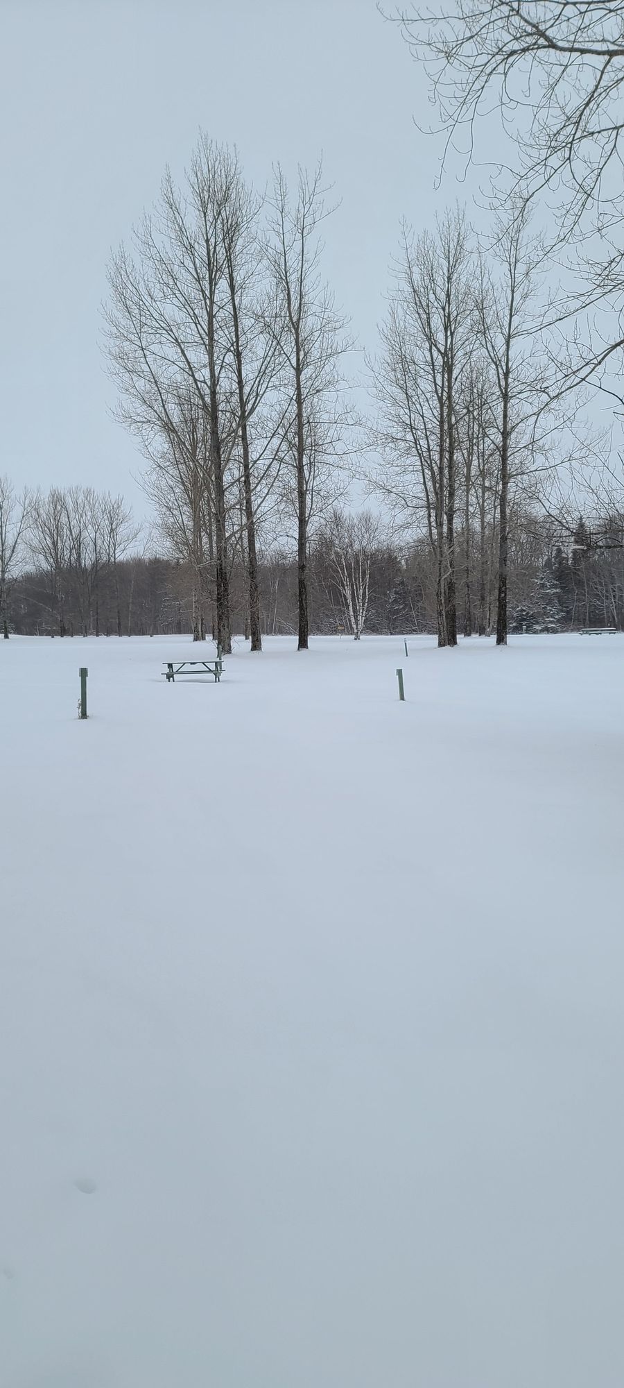 Hole number 5 Jan 24