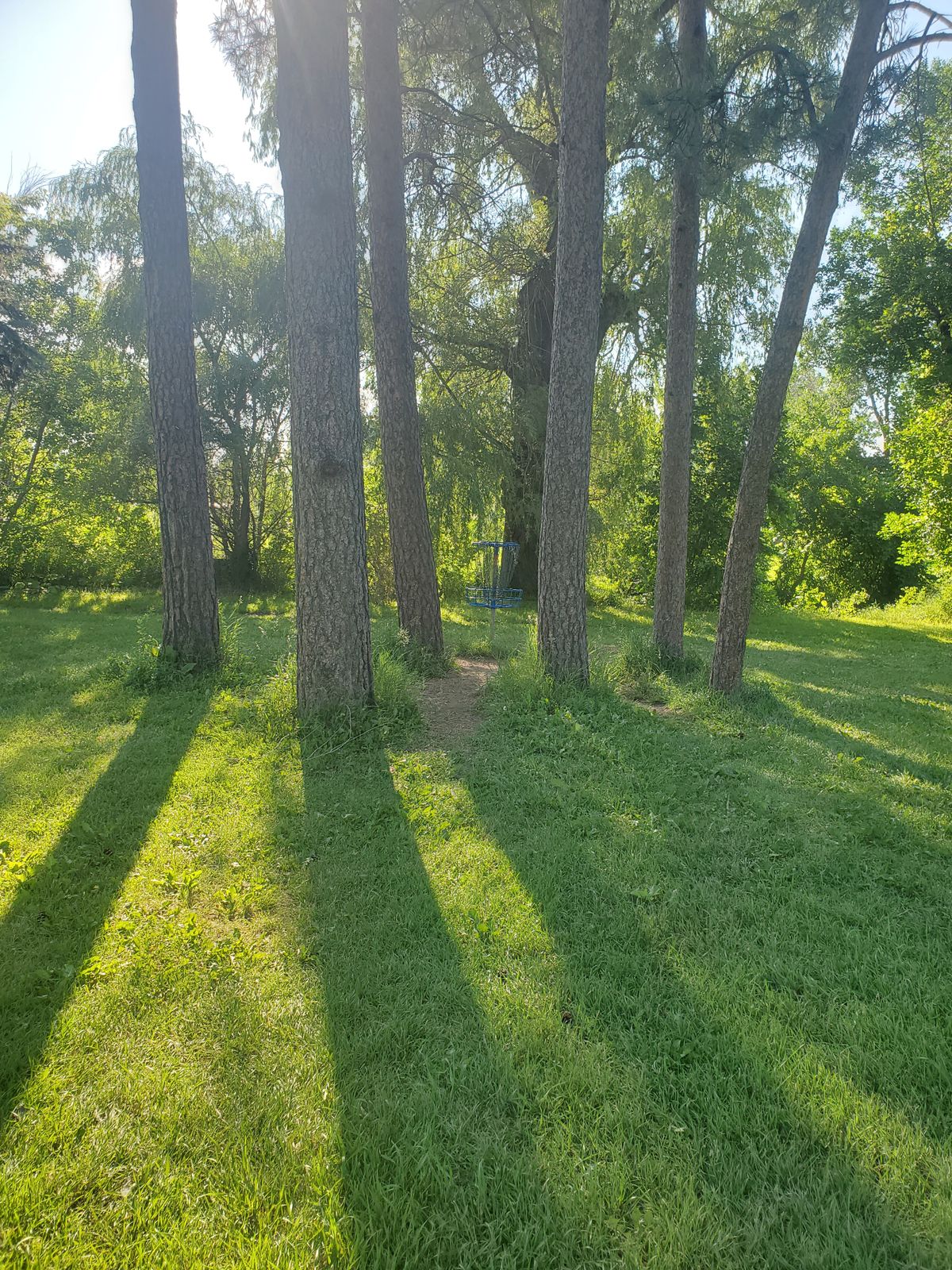 Hole 8