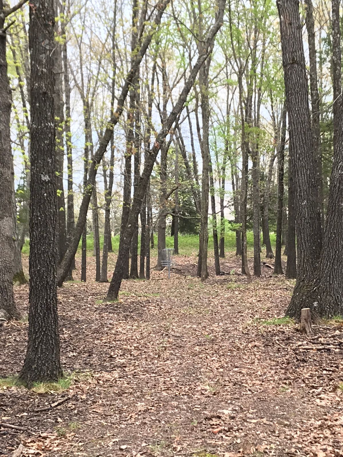 Hole 14 fairway