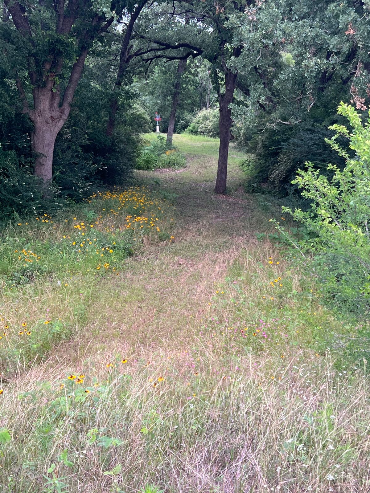 Hole 4