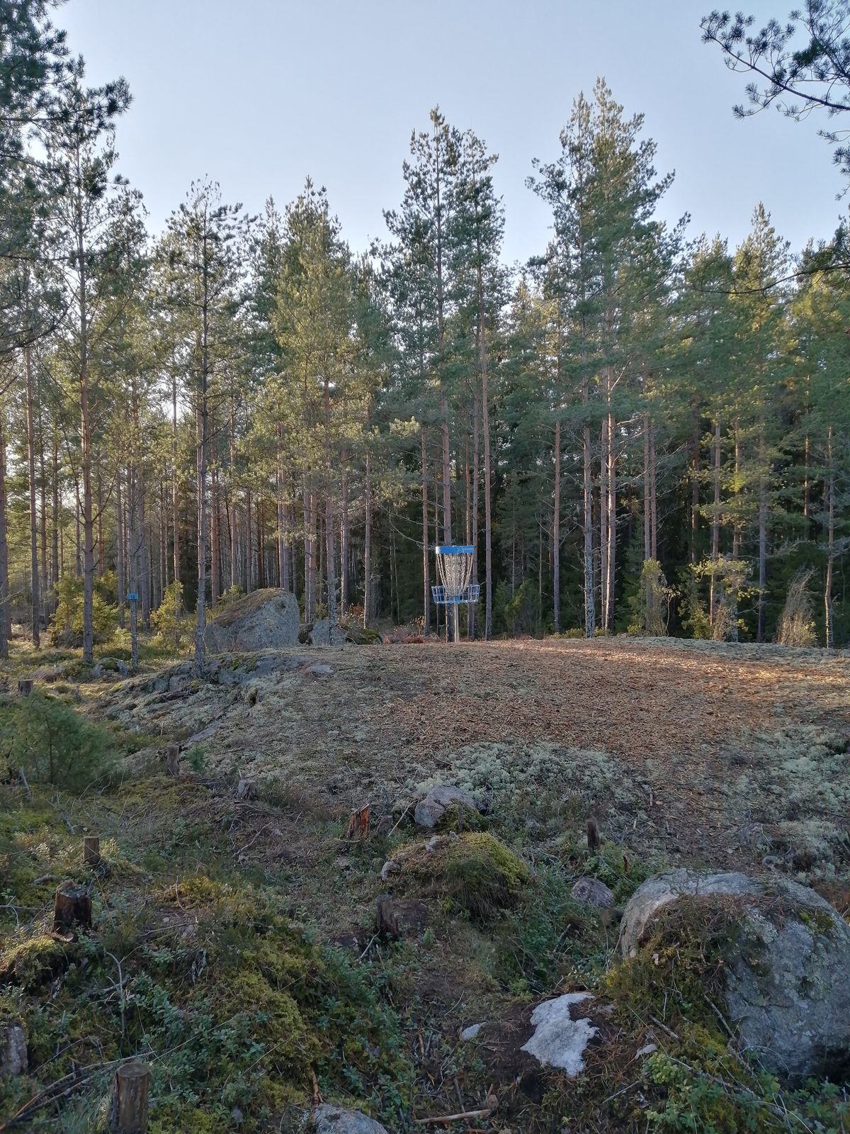 12. Väylä